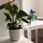 Recién Reformado, Céntrico, Tranquilo Y Luminoso *